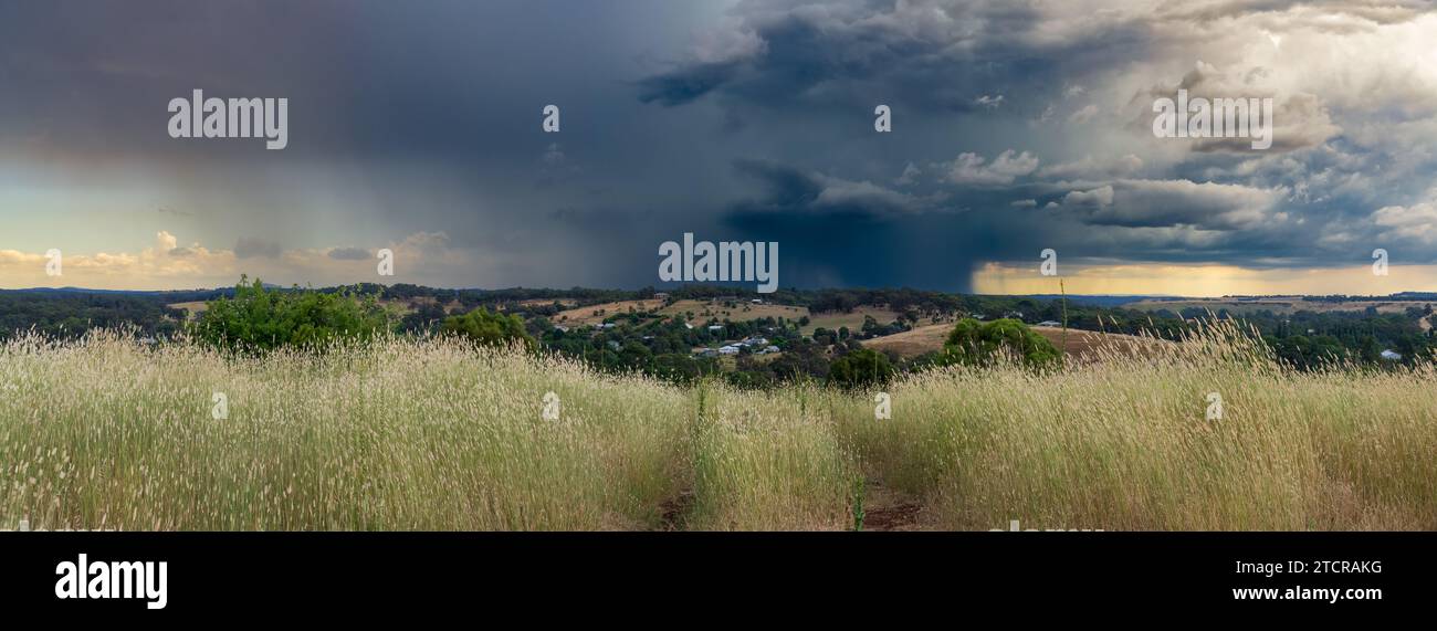 Ein Panoramablick über einen grasbewachsenen Hügel mit dunklen Wolken, die in der Ferne heftigen Regen in Guildford in Central Victoria, Australien, fallen lassen. Stockfoto