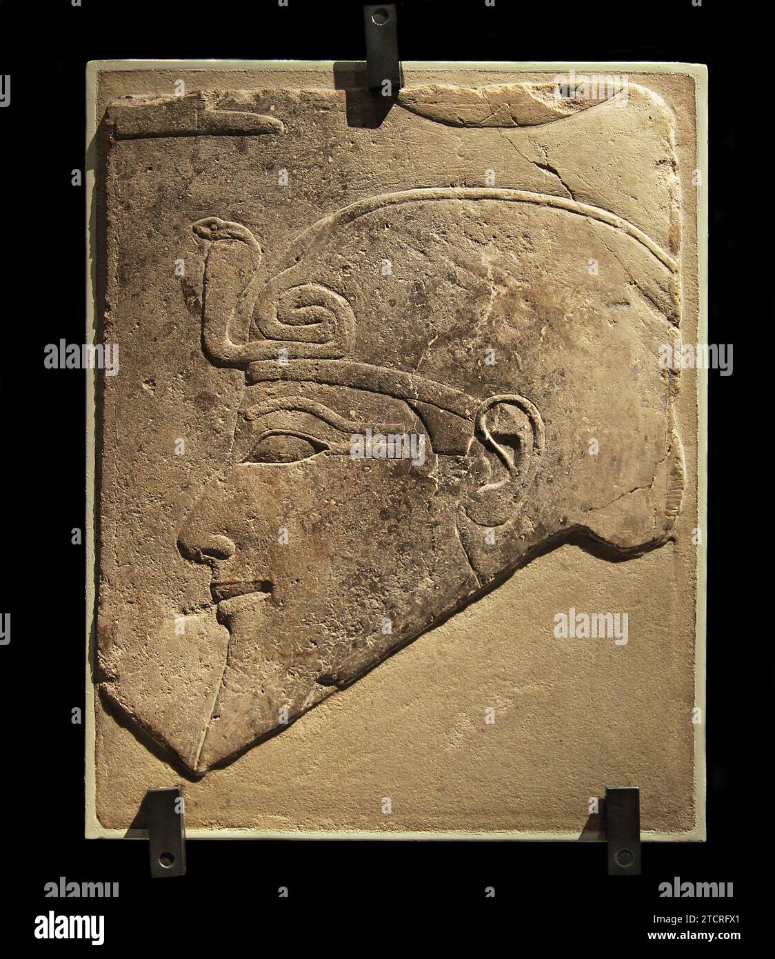 Relief von Thutmose III. Pharao der 18. Dynastie. ( 1458-1425 v. Chr.). Vermutlich aus dem Grab eines hohen Beamten dieses Königs. Die schützende Kobra (Uraeus) ist auf seiner Stirn zu sehen. Stockfoto