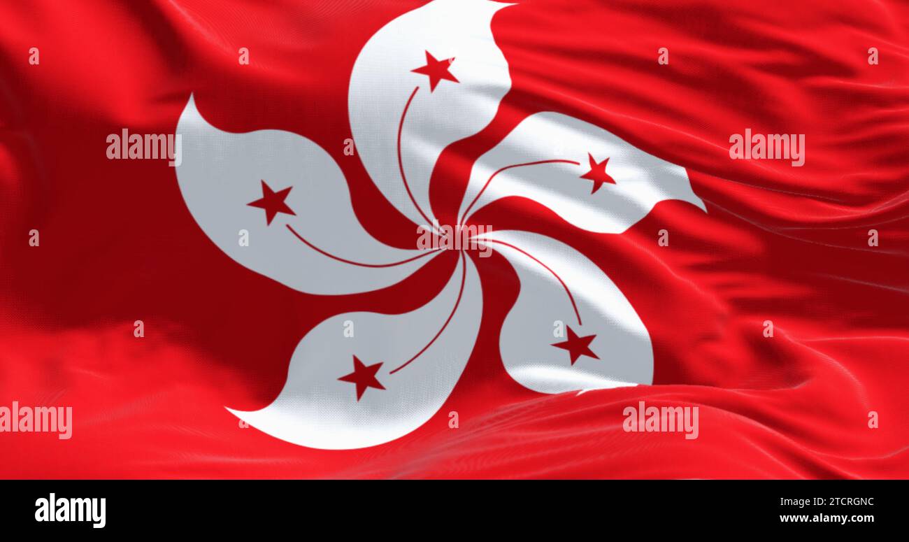 Nahaufnahme der Flagge Hongkongs, die schwingt. Rotes Feld mit einer weißen, stilisierten, fünfblättrigen Orchideenblüte aus Hongkong. 3D-Darstellung. Gewelltes Material. Stockfoto