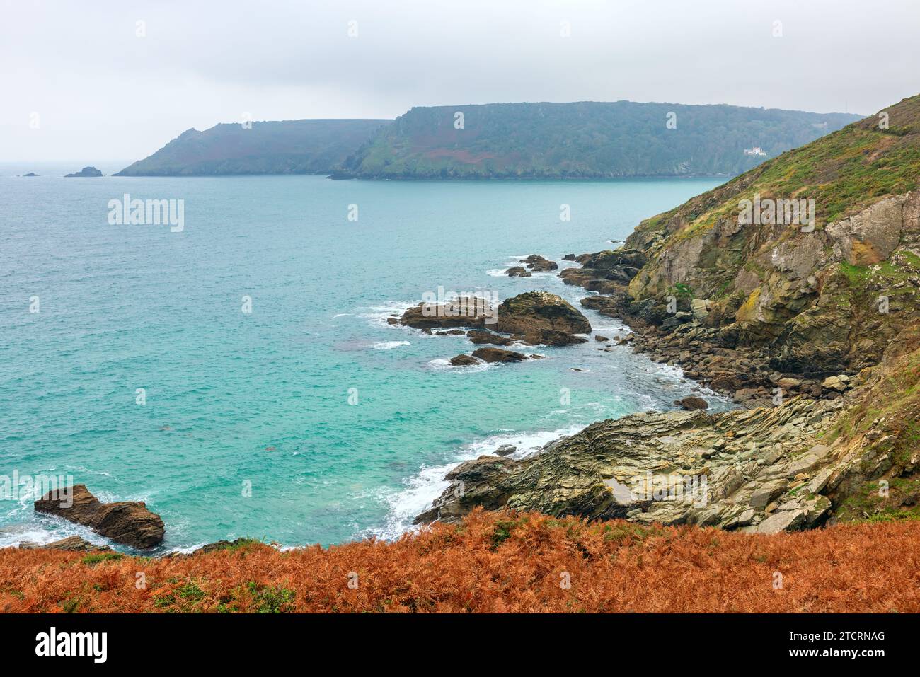 Blick auf die Küste in Richtung des Eingangs der Salcombe Mündung in der Region South Hams in South Devon. England Stockfoto