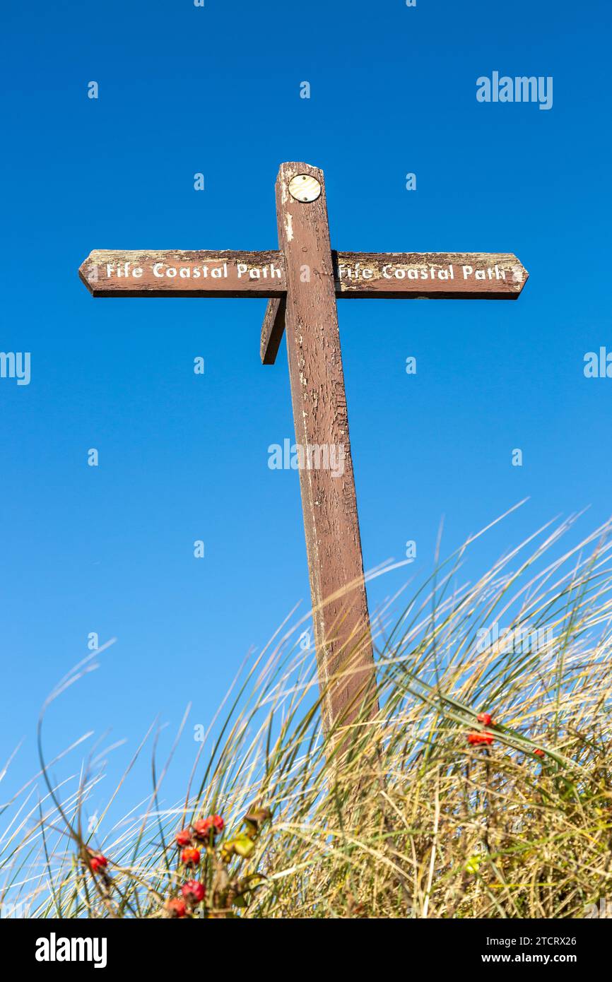 Ein hölzernes Fife Coastal Path Schild vor einem blauen Himmel Stockfoto