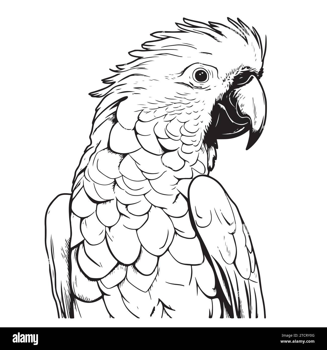 Kakadu-Kopf-Linie Vektor-Illustration isoliert auf weißem Hintergrund .exotische Vögel Stock Vektor