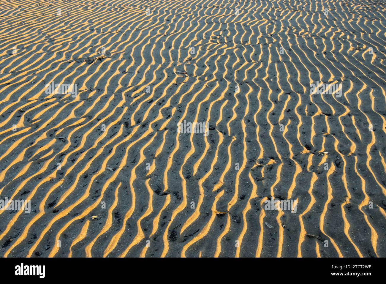 Die Wellen, die die Flut im Sand hinterlassen hat, ähneln einer Wüstenlandschaft mit parallelen Sanddünen. Diese Markierungen im Sand können beibehalten werden. Stockfoto
