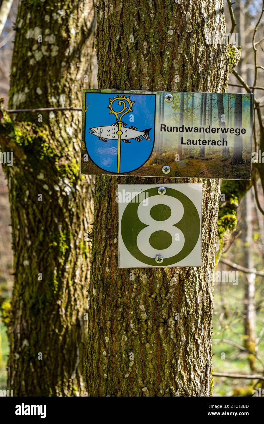 Schilder Rundwanderwege Lauterach und 8 an einem Baum, Wandergebiet bei Lauterach, Munderkingen, Schwäbische Alb, Baden-Württemberg, Deutschland. Stockfoto