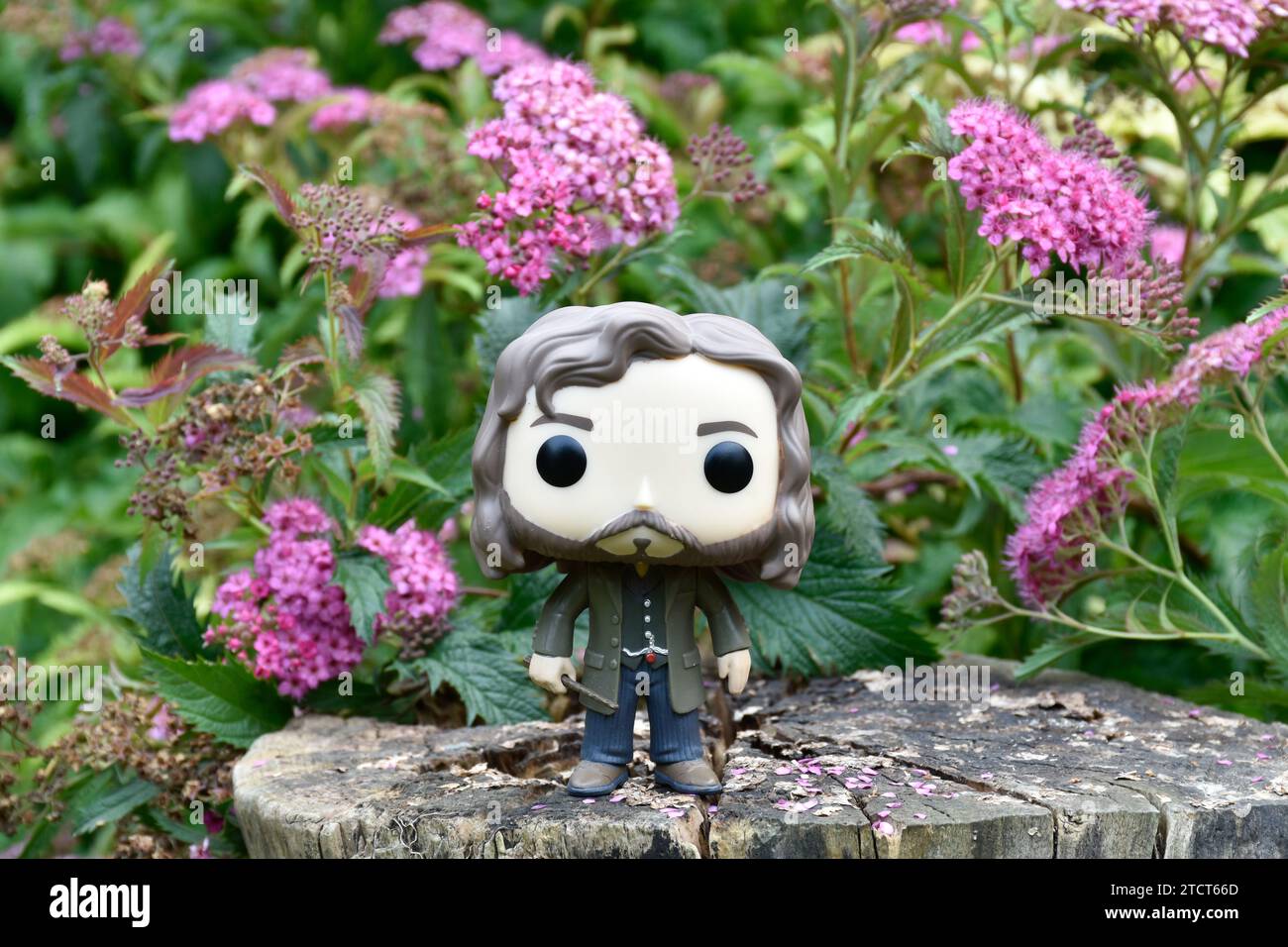 Funko Pop Actionfigur des Zauberers Sirius Black aus dem Film Harry Potter, der auf Baumstumpf steht. Rosafarbene Blumen, Waldlichtung, magische, magische Welt. Stockfoto