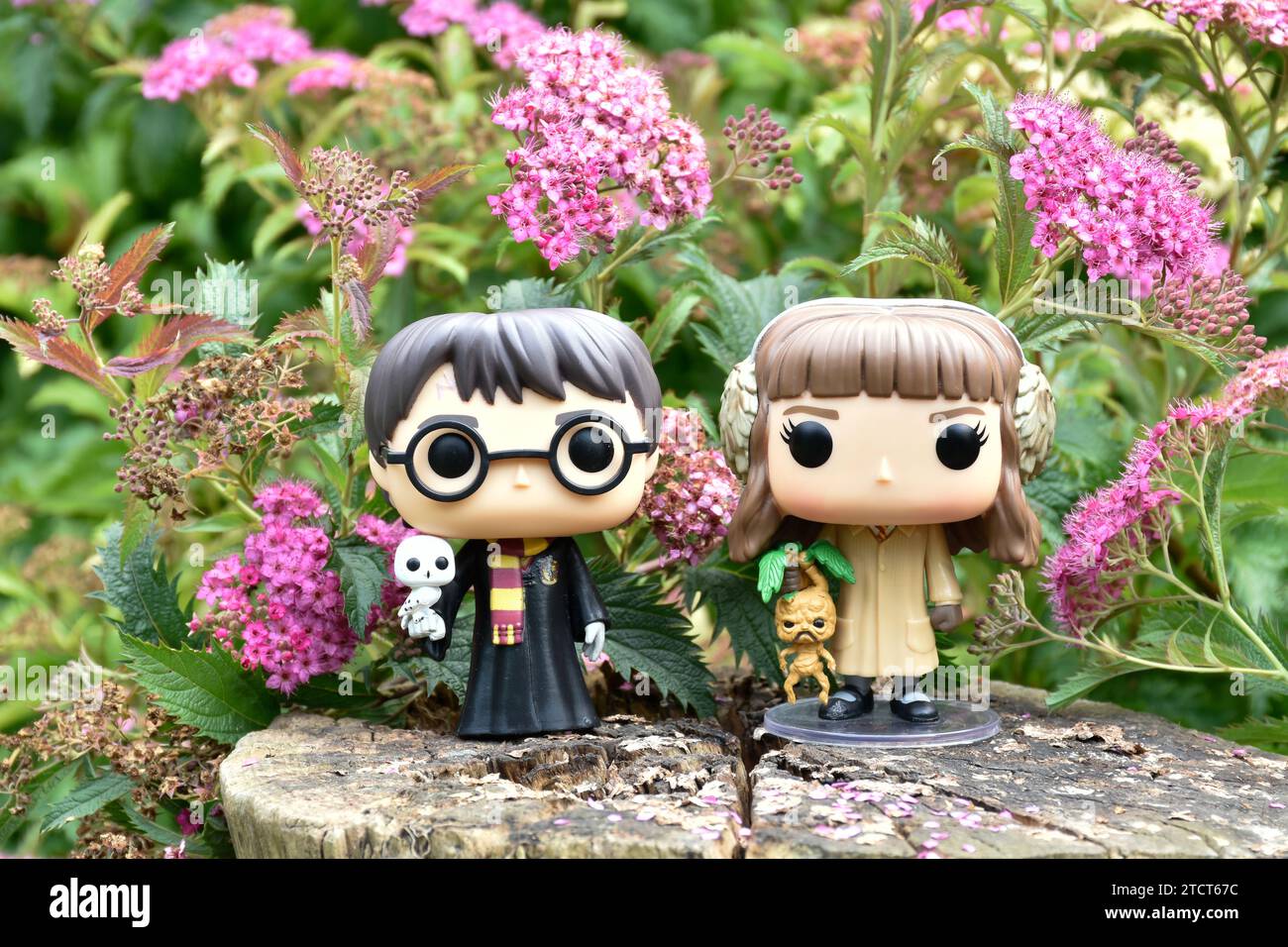 Funko Pop Actionfiguren von Harry Potter und Hermine Granger. Rosa Blumen, Waldlichtung, magische Wälder, Zauberwelt, Freundschaft. Stockfoto