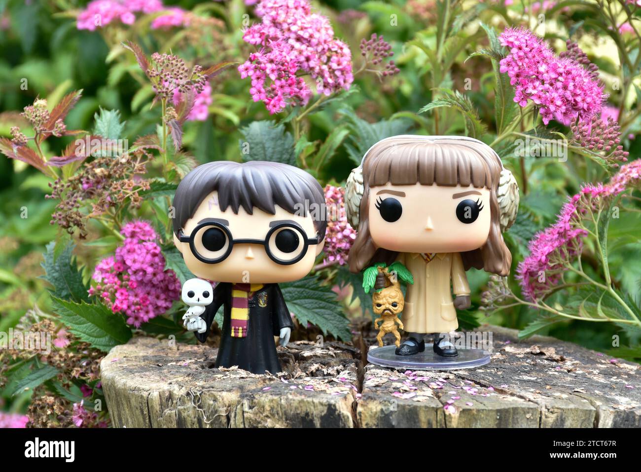 Funko Pop Actionfiguren von Harry Potter und Hermine Granger. Rosa Blumen, Waldlichtung, magische Wälder, Zauberwelt, Freundschaft. Stockfoto