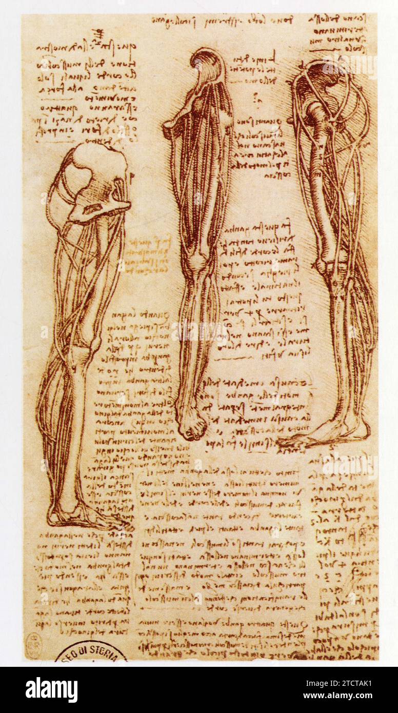 Leonardo da Vinci.1452-1519.Étude pour la construction d'un modèle anatomique. Stockfoto