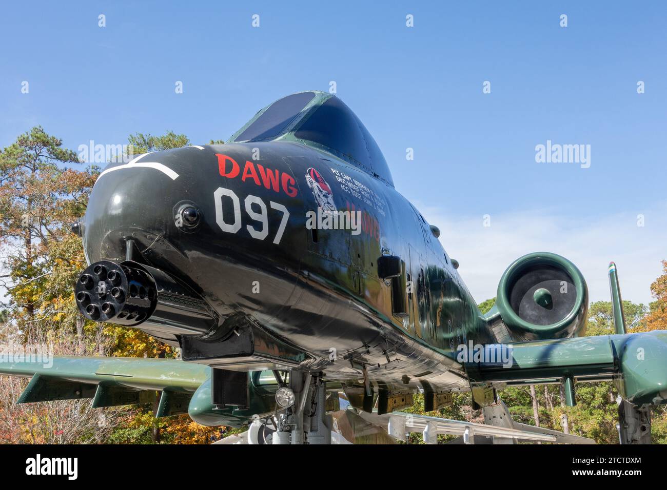 Fairchild Republic A-10 Thunderbolt II Static Display in the Warbird Park, Myrtle Beach South Carolina, USA, 17. November 2023 Stockfoto