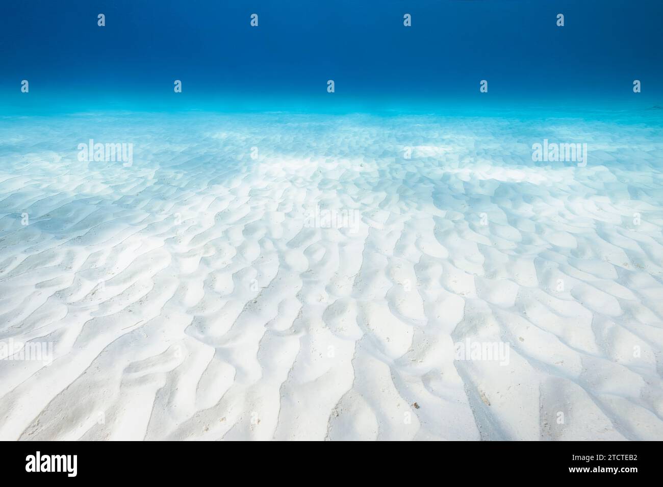 Riesige Bonaire White Sands, Niederländische Antillen, Karibisches Meer Stockfoto