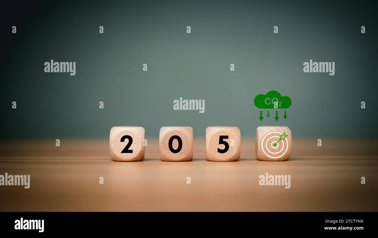 Holzwürfel mit Net Zero Symbol 2050 auf hölzernem Hintergrund, Net Zero by 2050, CO2 neutral, Net Zero Greenhouse Gas Emission Target, Climate neu Stockfoto