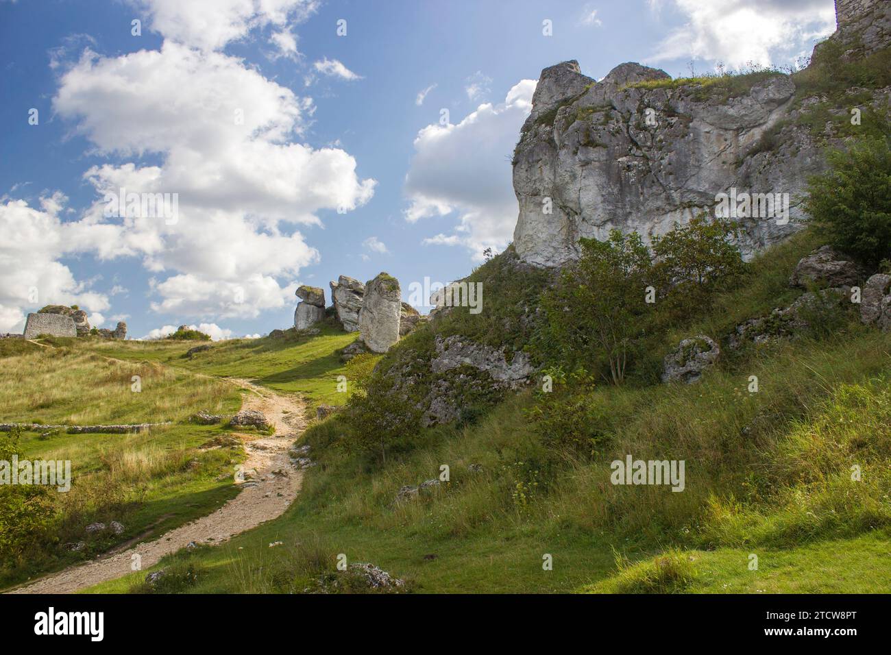 Kalksteingesteine im polnischen Jura Krakowsko-Czestochowska in Olsztyn, Polen Stockfoto