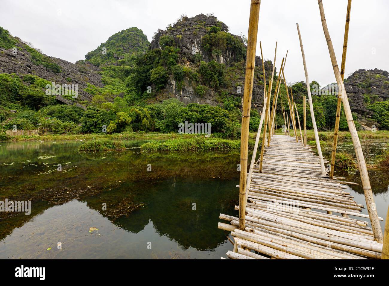 Die Landschaft mit Bambusbrücke bei Tam Coc in Vietnam Stockfoto
