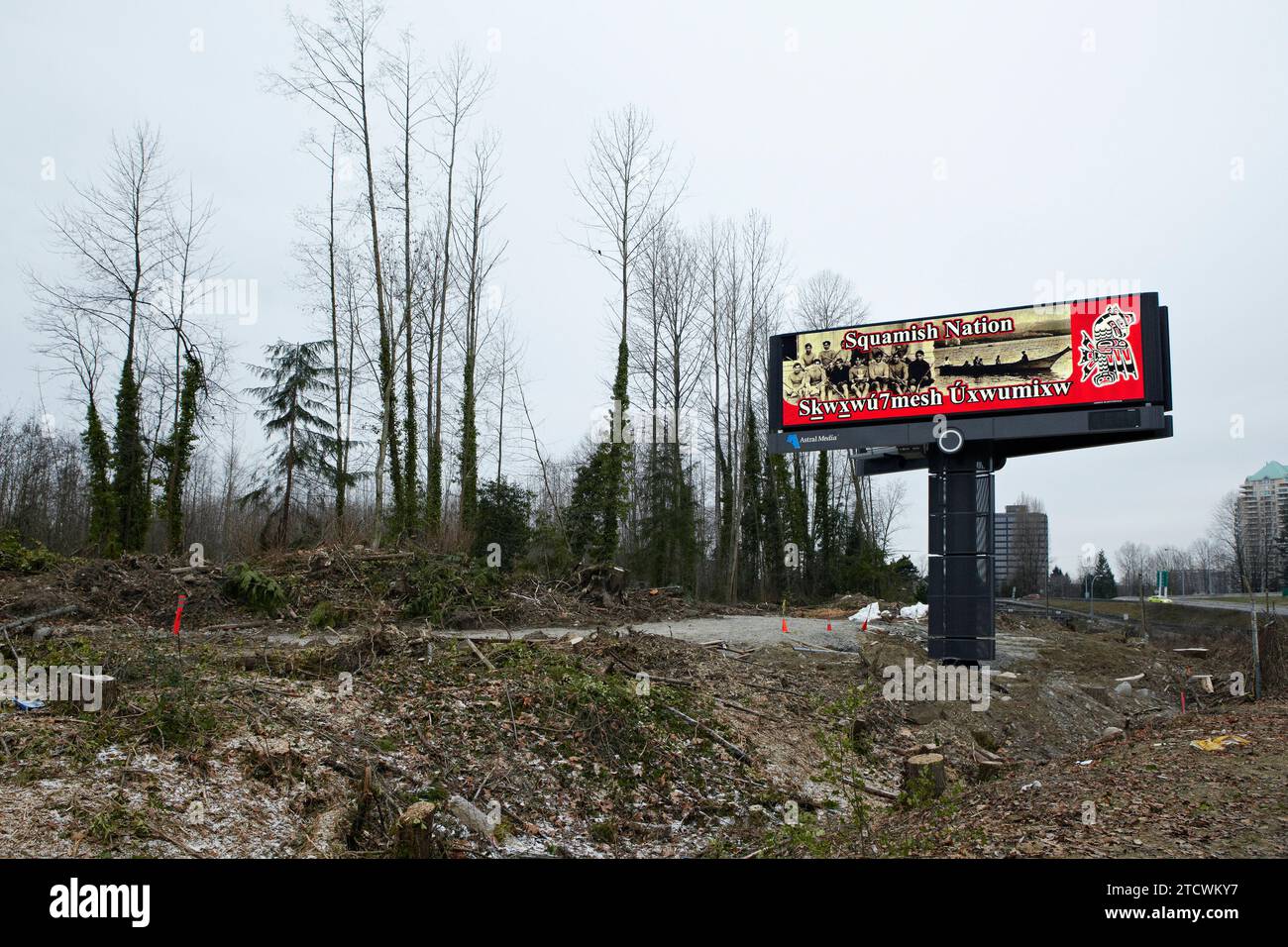 Beleuchtete Reklametafeln und Straßenbau auf teilweise gereinigtem, unberührtem indigenen Land, Squamish Nation, BC, Kanada. Stockfoto