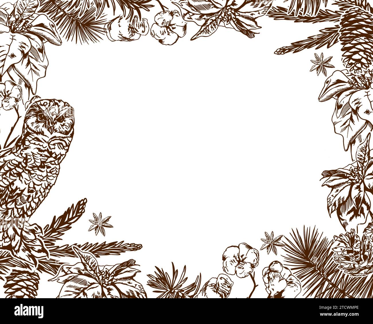 Weihnachtskarte, Werbebanner. Eule, Tannenzweige, Baumwolle. Neujahrskarte. Vektor-Illustration für Dekor der Winterverkäufe, Neujahrskarten, Einladungen. Stock Vektor