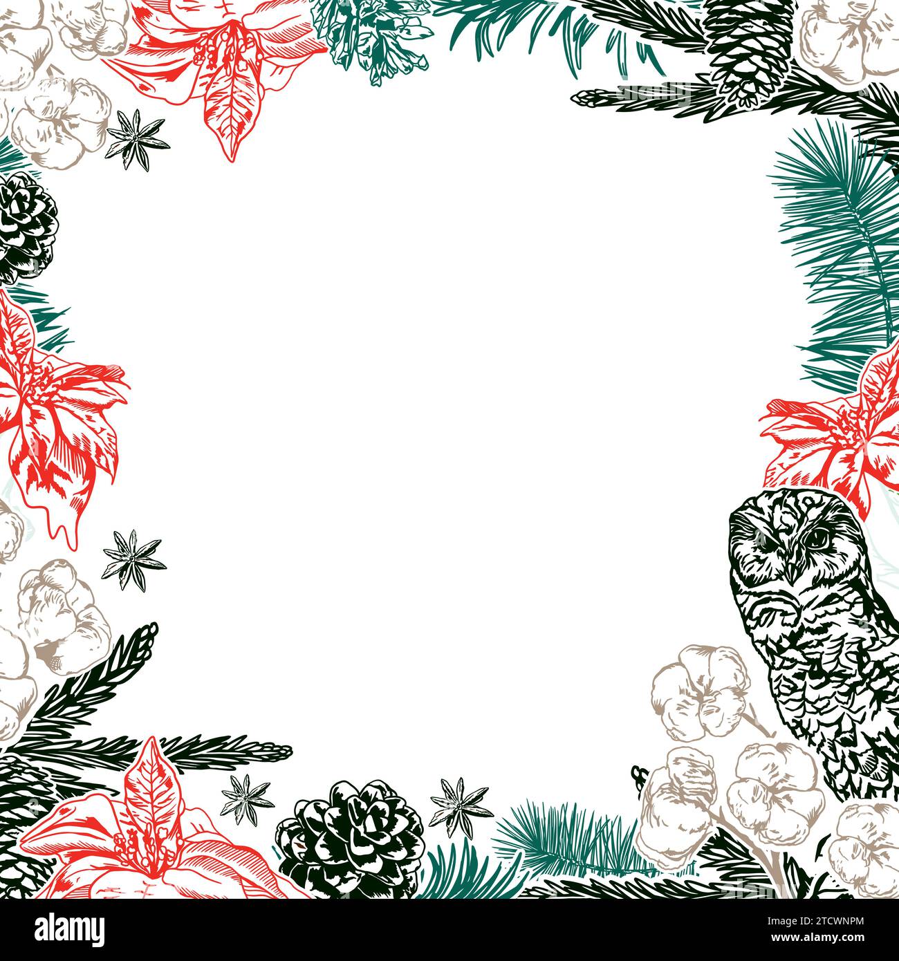 Weihnachtskarte, Werbebanner. Tannenzweige, Kegel, Weihnachtsstern, Eule. Neujahrskarte. Vektor. Winterverkauf, Neujahrskarten, Einladungen, Flyer, Flugblätter. Stock Vektor