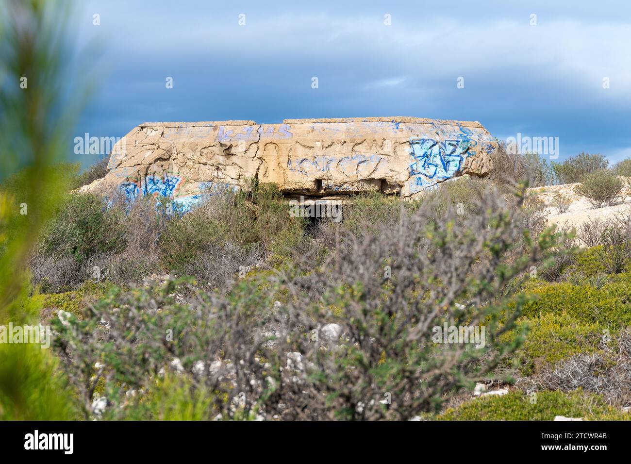 Ein ehemaliger Bunker an der Küste von Martigues in Frankreich aus dem Zweiten Weltkrieg. Es ist mit Farbe beschmiert und es gibt viele trockene Pflanzen und Bäume im Stockfoto