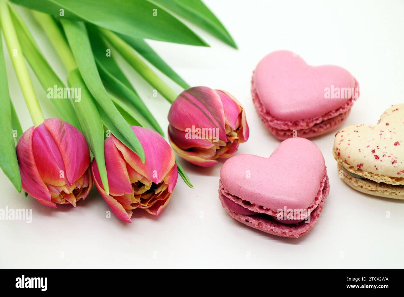 Blumenstrauß frischer rosafarbener Tulpen mit rosa herzförmigen makroons in Nahaufnahme. Stockfoto
