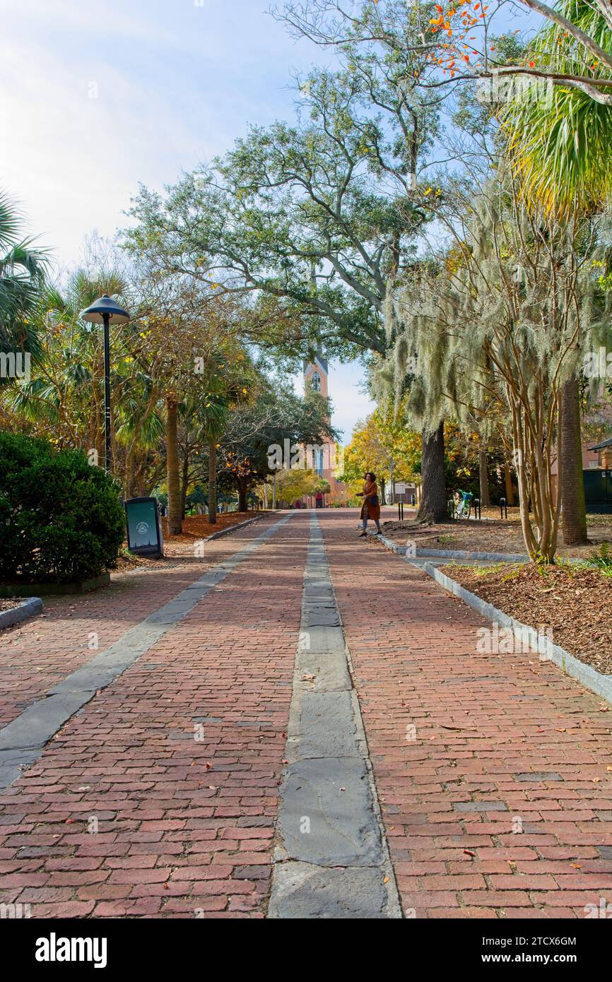 Marion Square Walkway, ehemals Citadel Military College Parade Grounds, 1874 St. Matthew's Lutheran Church in Distance; Charleston SC – November 2023 Stockfoto