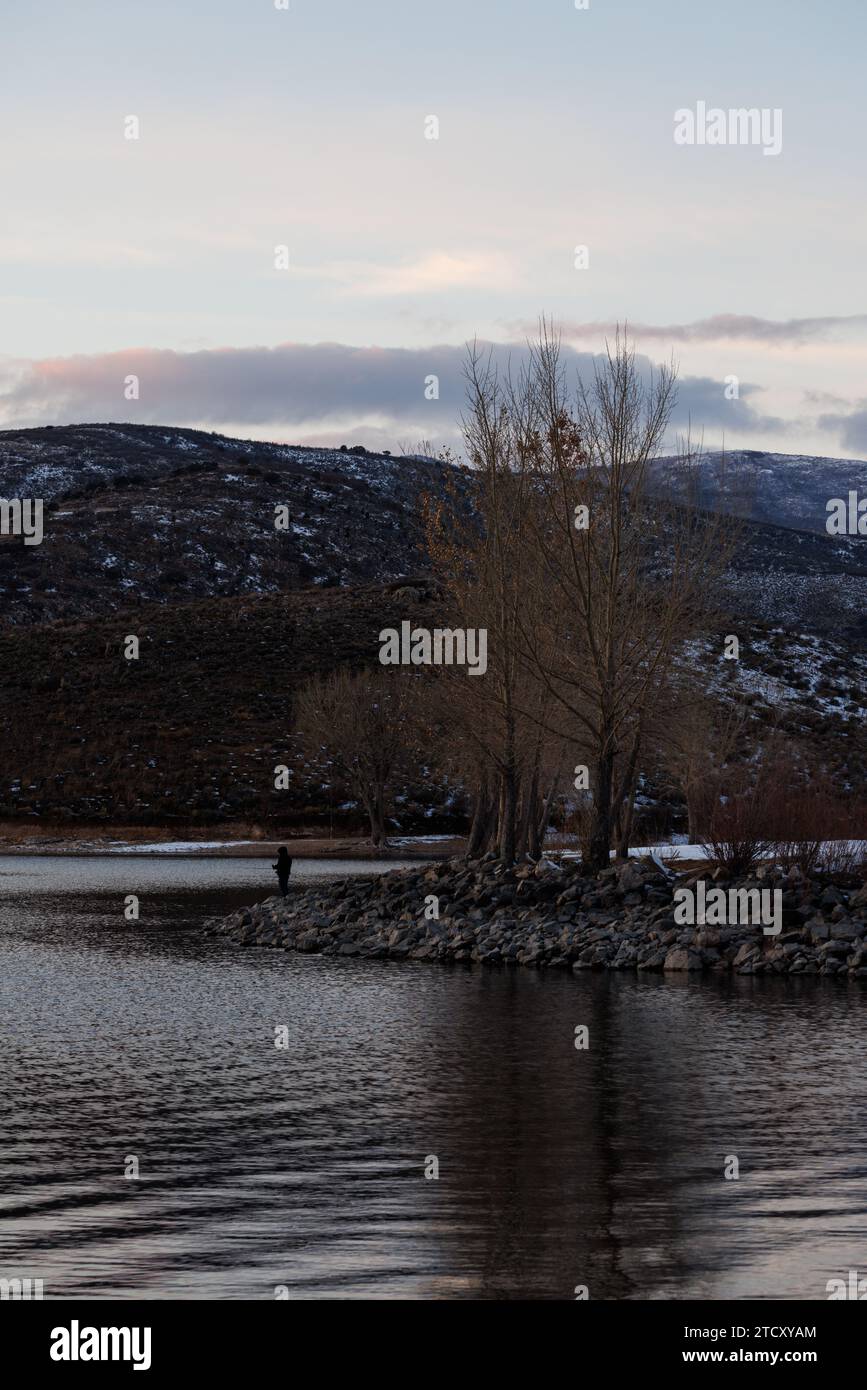 Person fischt am Strand an einem Baum an einem See Stockfoto