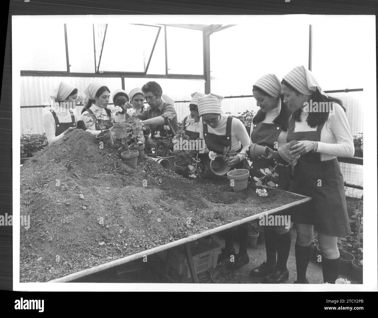 Aranjuez, 02.10.1975. Schüler der Onísimo Redondo National School der Landlehrer, die in Botanikkursen mit Fellen arbeiten. Quelle: Album / Archivo ABC / Manuel Sanz Ropero Stockfoto
