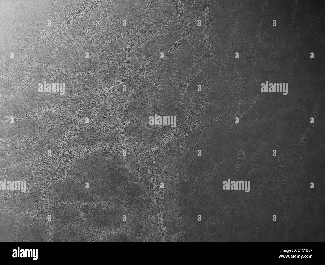 Schwarze, faltige Haut, raue Nadeln, schwer zu erklären, heimlich zu folgen Stockfoto