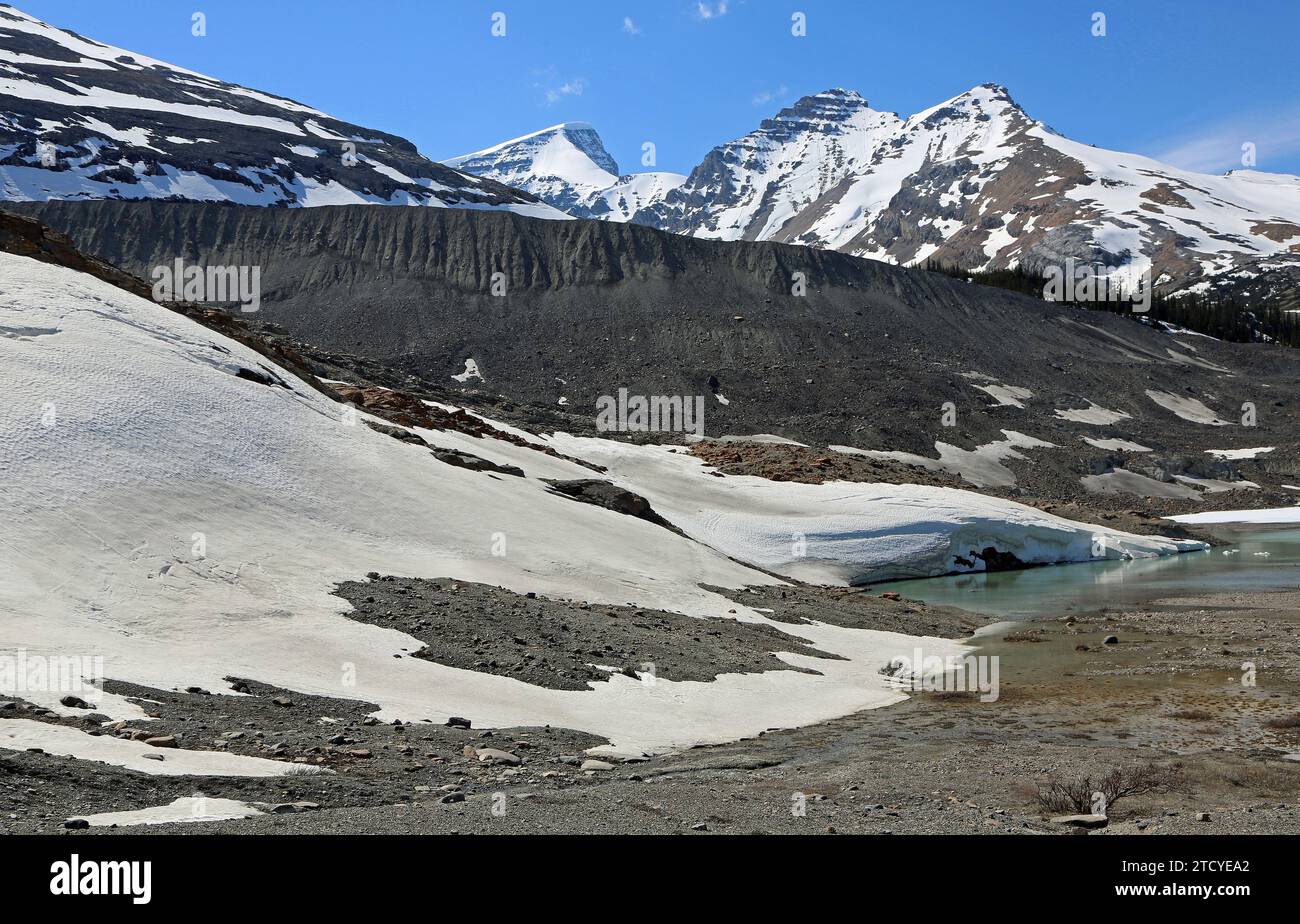 Terminal Moräne - Athabasca Glacier, Jasper NP, Kanada Stockfoto