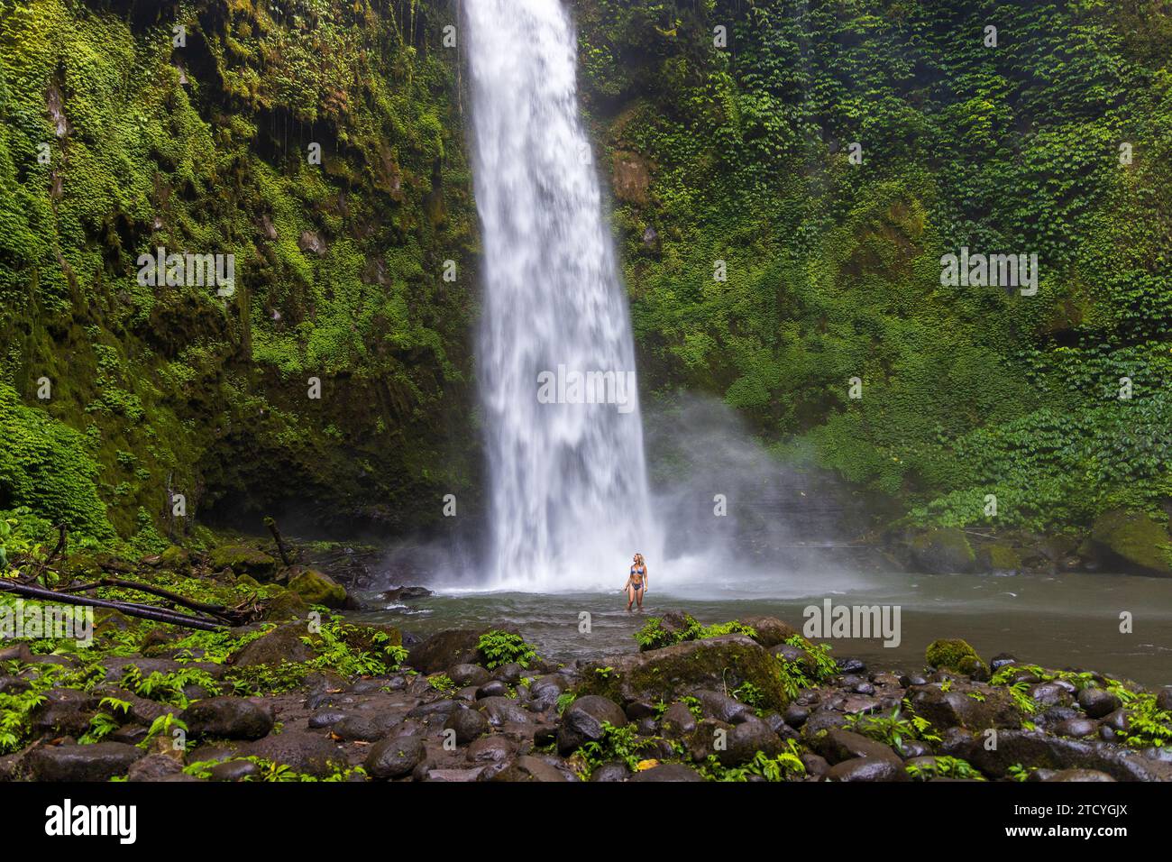 Eine junge Frau im Badeanzug am Nungnung Wasserfall im üppigen tropischen Wald, Bali, Indonesien Stockfoto