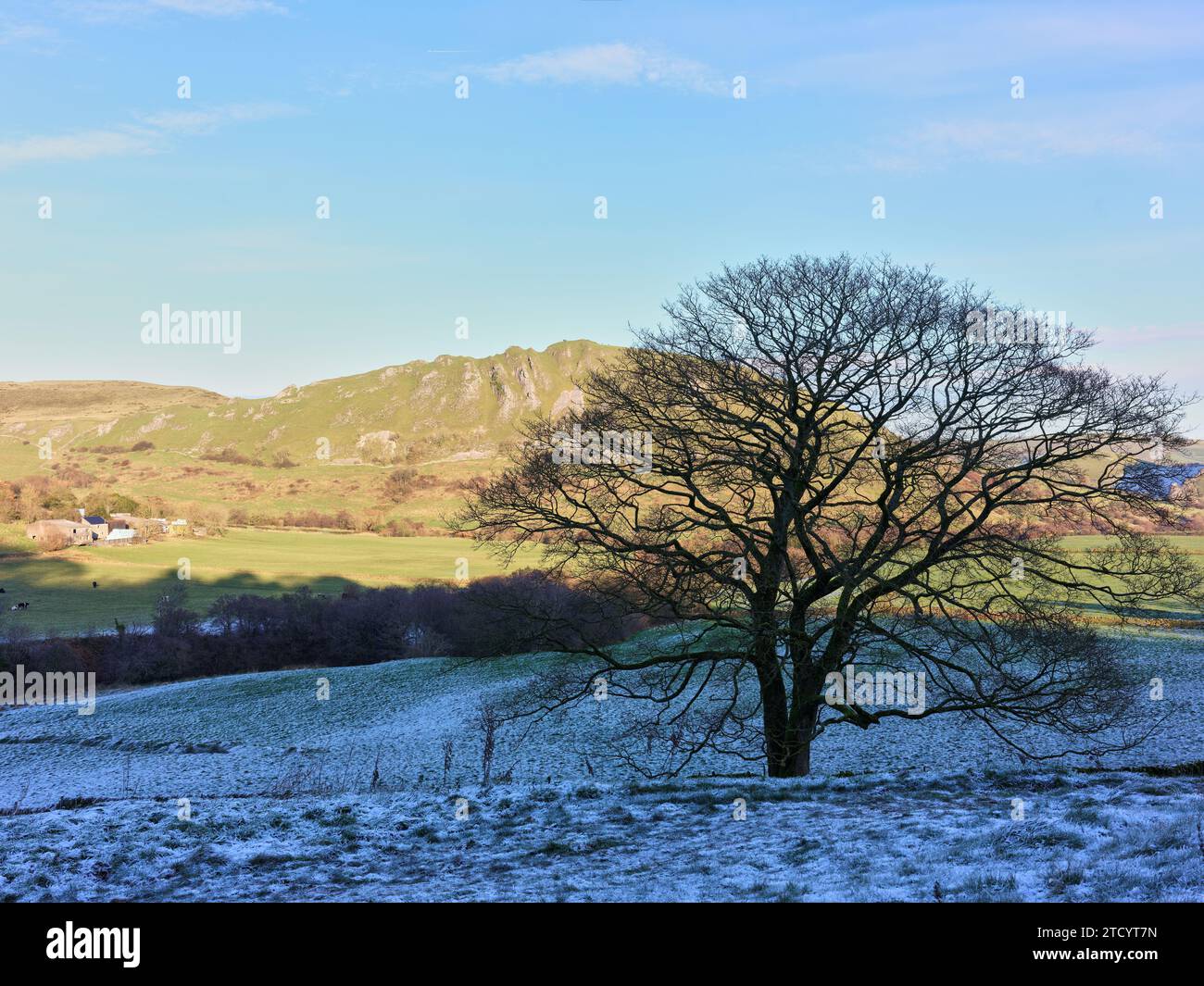 Baum auf gefrorenem, frostigem Boden gegenüber dem Chrome Hill, an einem sonnigen Wintertag im Peak District National Park, England, im Sonnenlicht getaucht. Stockfoto