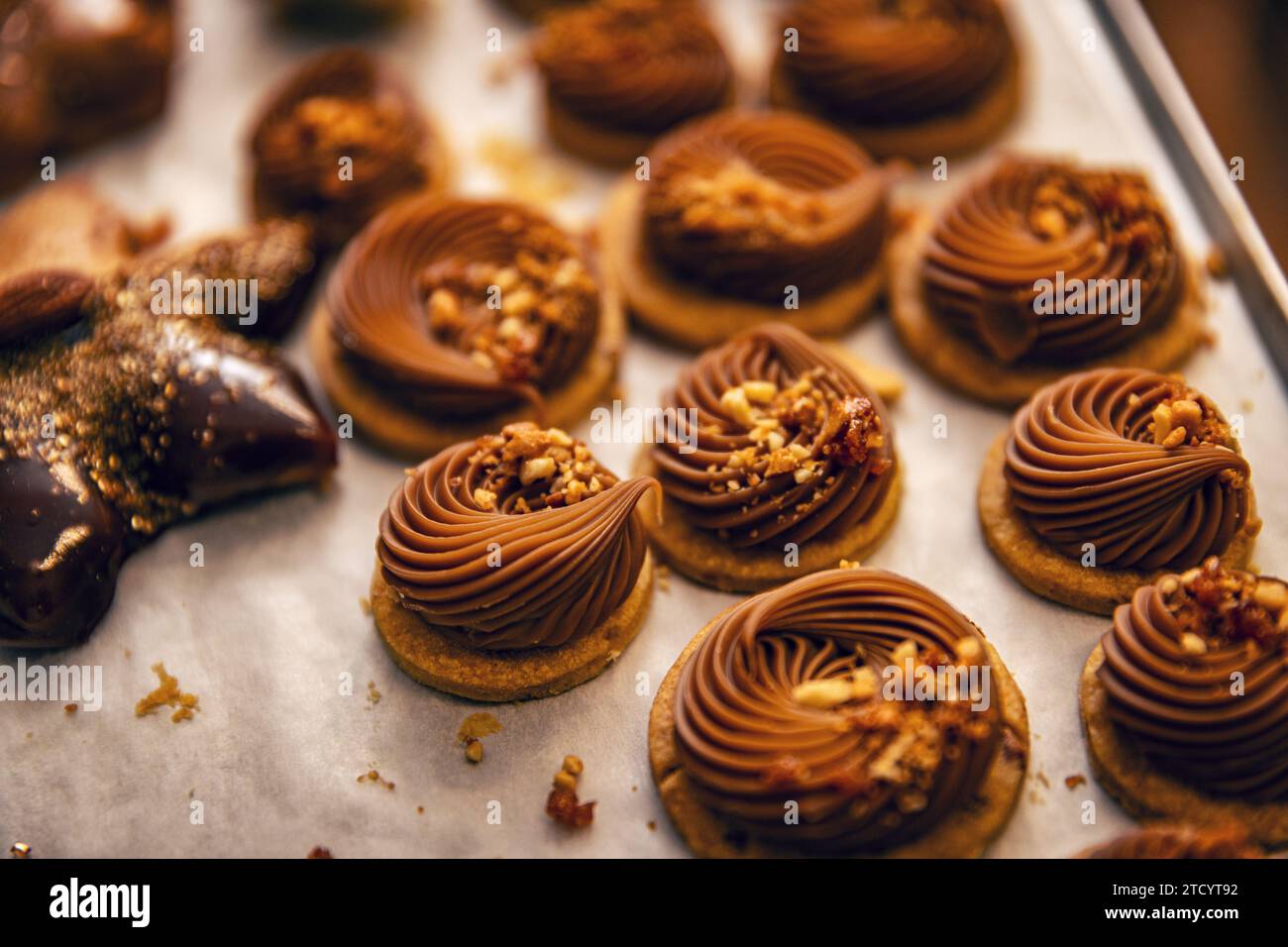 Weihnachtsfeiertage Schokoladen-Mini-Desserts. Schokoladenkekse Stockfoto