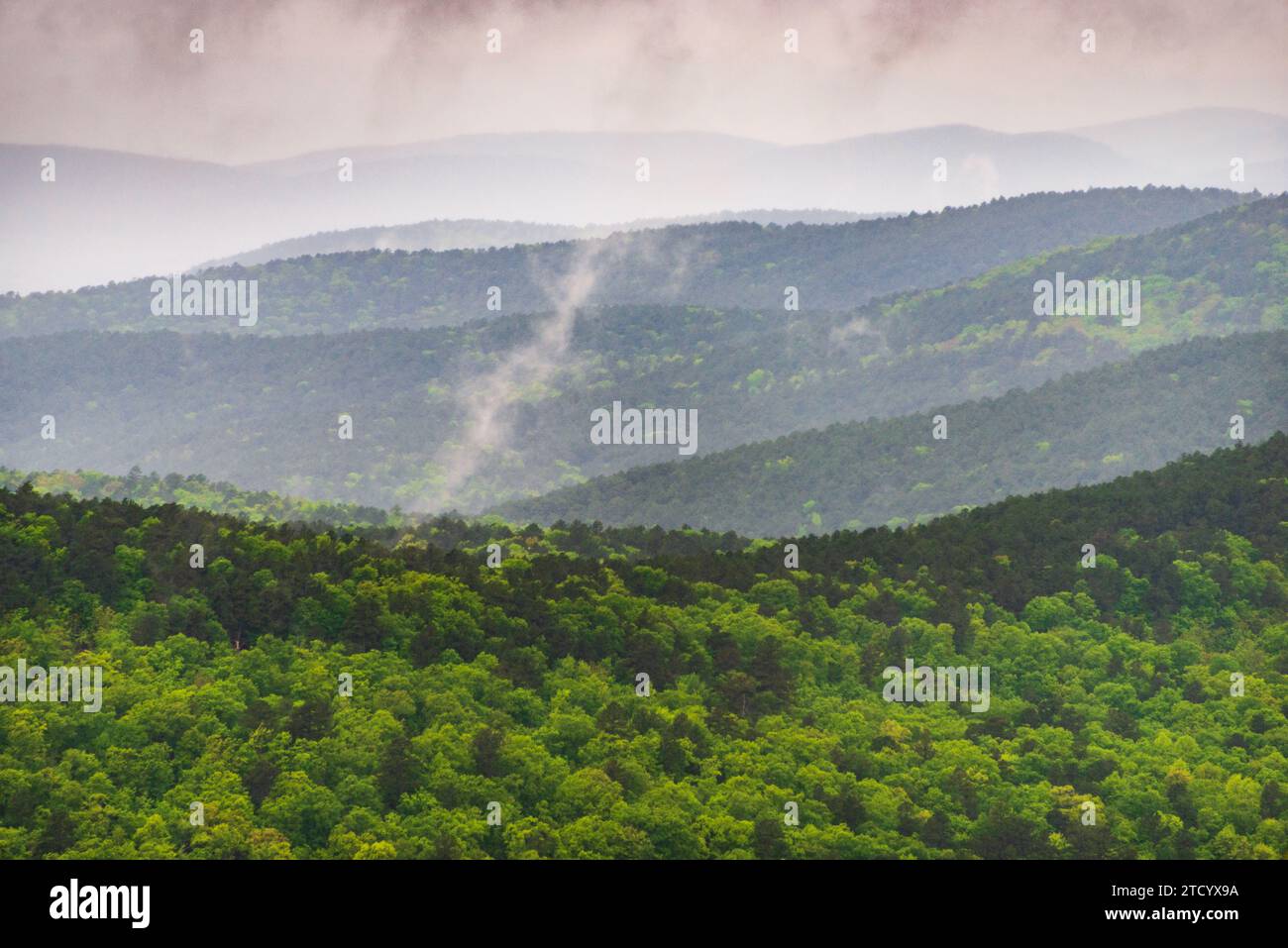 Ein Blick auf den Talimena Scenic Drive, National Scenic Byway Stockfoto