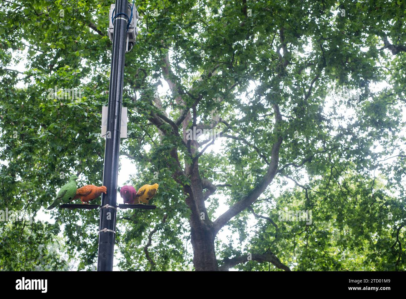 Details und Blick auf Bäume und Eisenwerk am Soho Square im Herzen der Stadt London Stockfoto