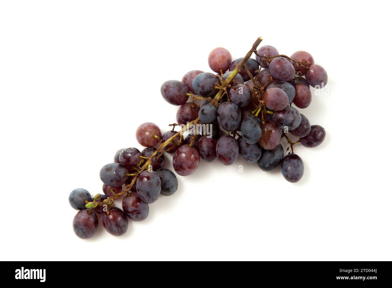 Großer Haufen reifer dunkelblauer Trauben isoliert auf weißem Hintergrund. Lila Weintrauben mit weichem Schatten isoliert auf weiß. Stockfoto