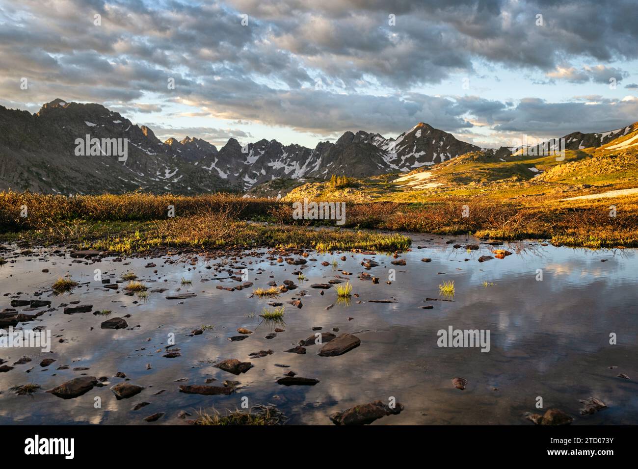 Feuchtgebiete mit majestätischen Gipfeln im Hintergrund, Colorado Stockfoto