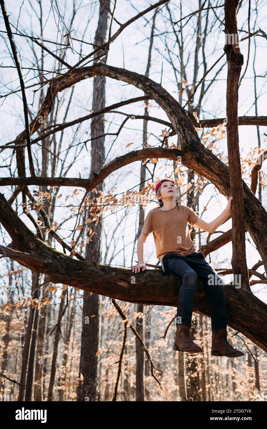 Junge, der auf einem Baum im Herbstwald sitzt Stockfoto