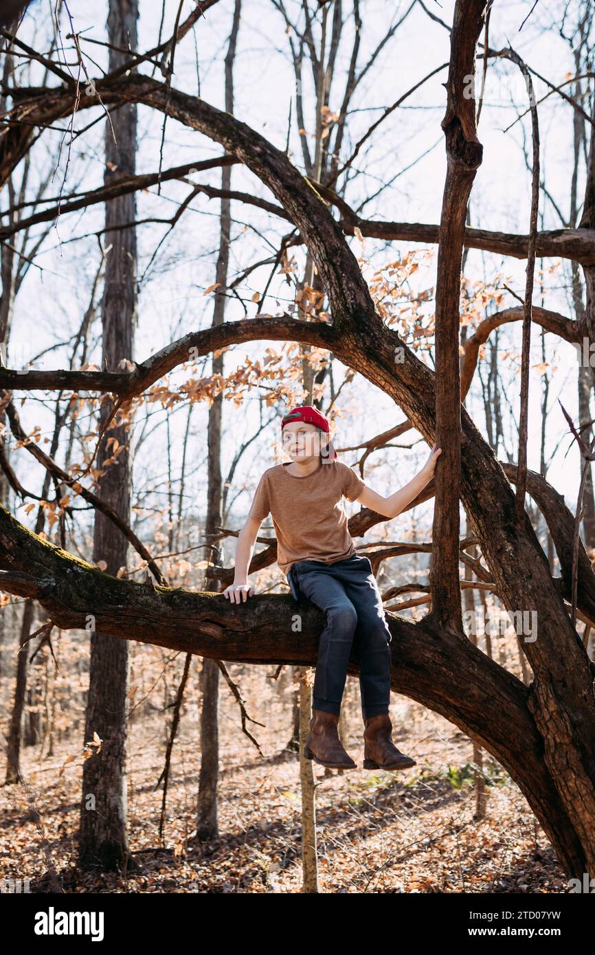 Junge, der im Wald spielt und auf einem Baumzweig sitzt Stockfoto