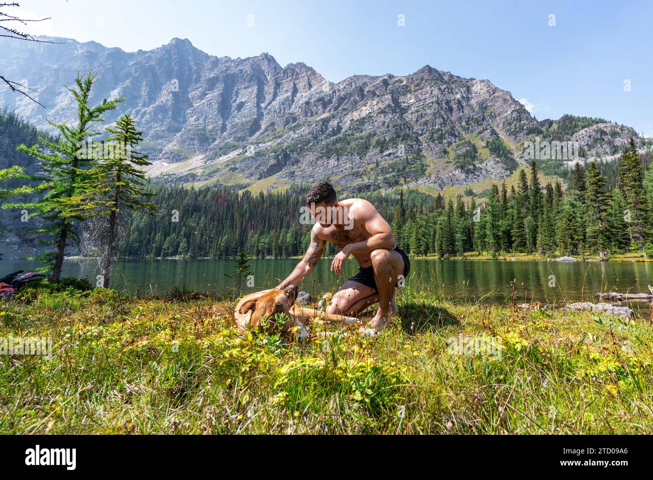 Besitzer Streichelt Geliebten Hund In Der Alpinen Wildnis Stockfoto