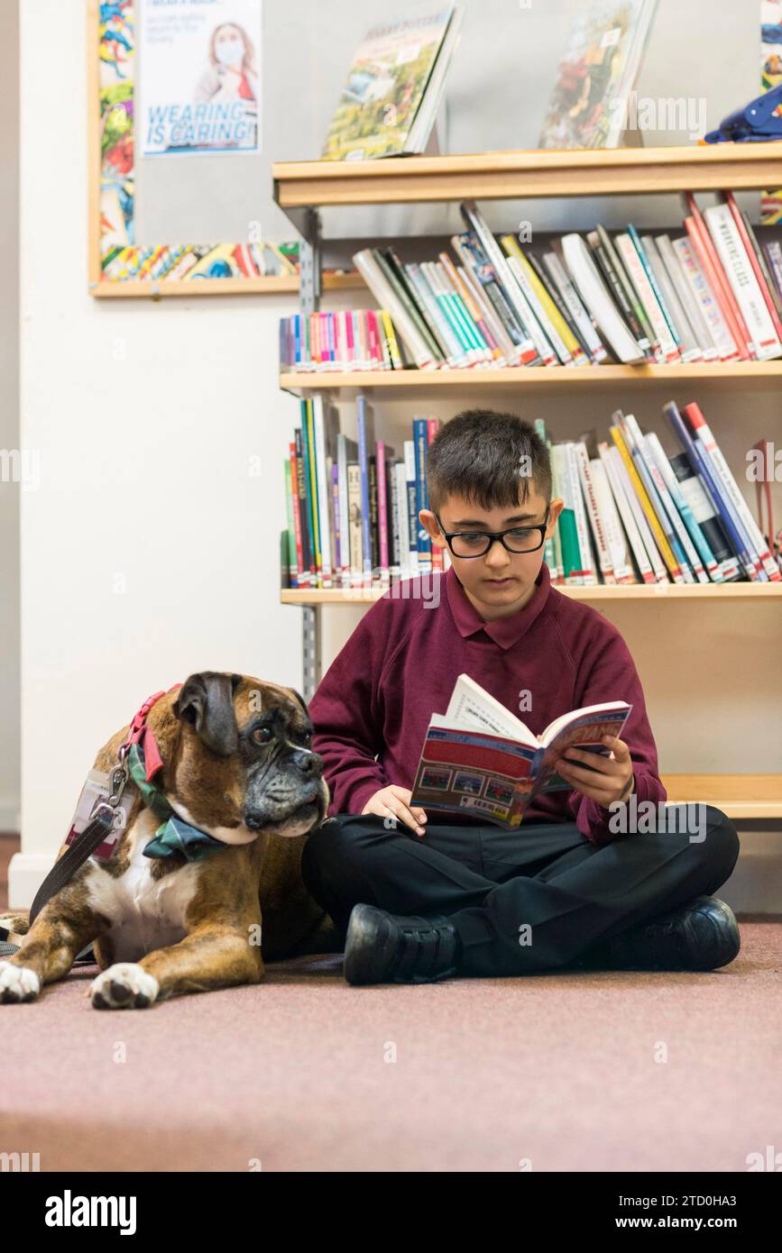 Ein junger Schüler sitzt auf dem Boden der Schulbibliothek und liest dem Schullernhund ein Buch. Stockfoto