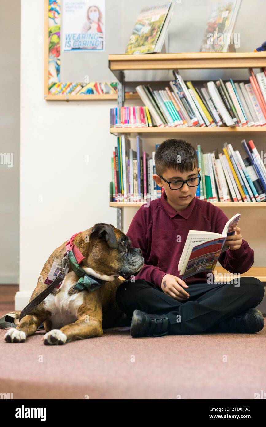 Ein junger Schüler sitzt auf dem Boden der Schulbibliothek und liest dem Schullernhund ein Buch. Stockfoto