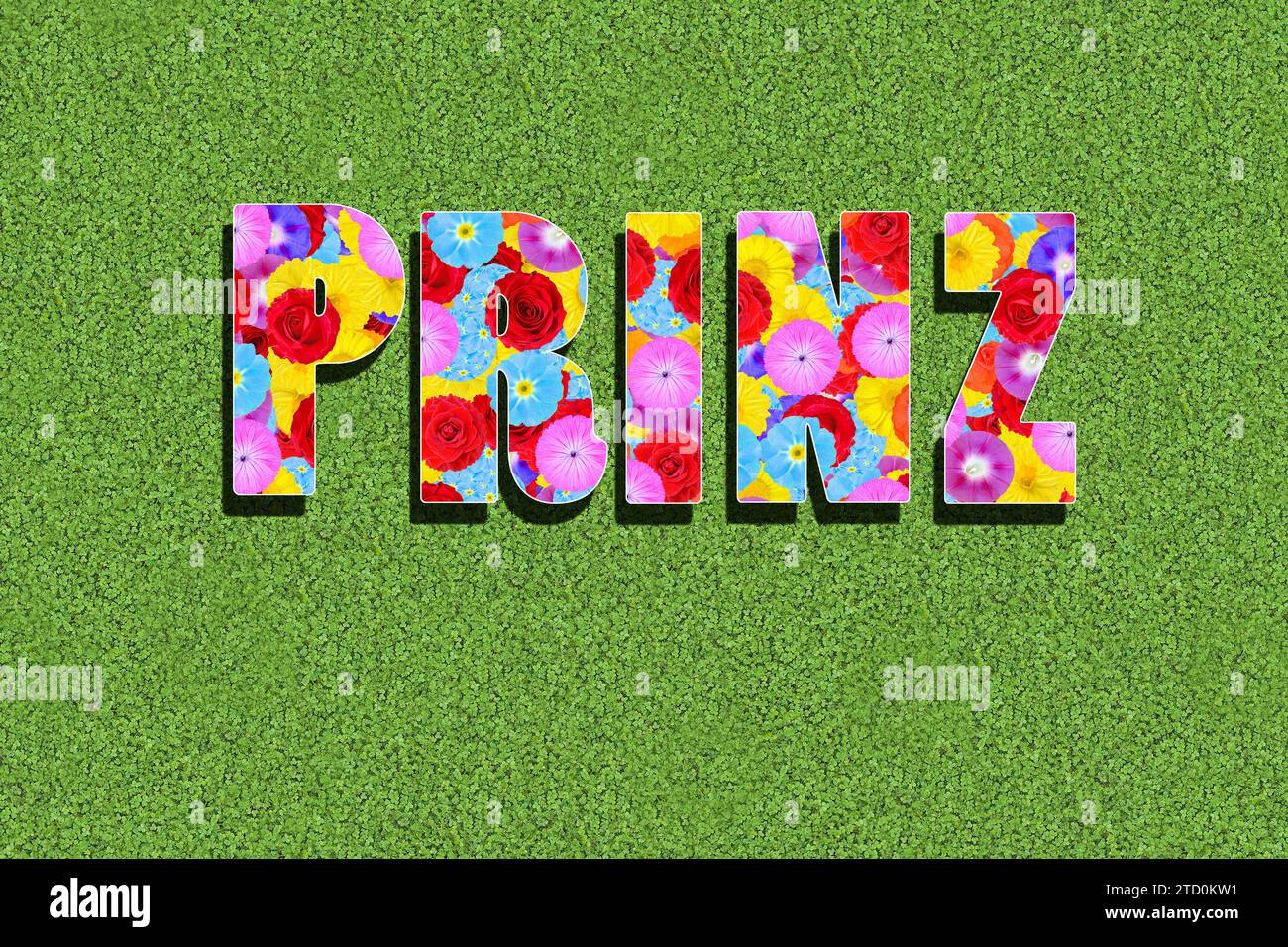 Das deutsche Wort Prinz, Prinz, geschrieben mit bunten Blumen auf grünem Hintergrund, Wiese, Grafik, Text Stockfoto