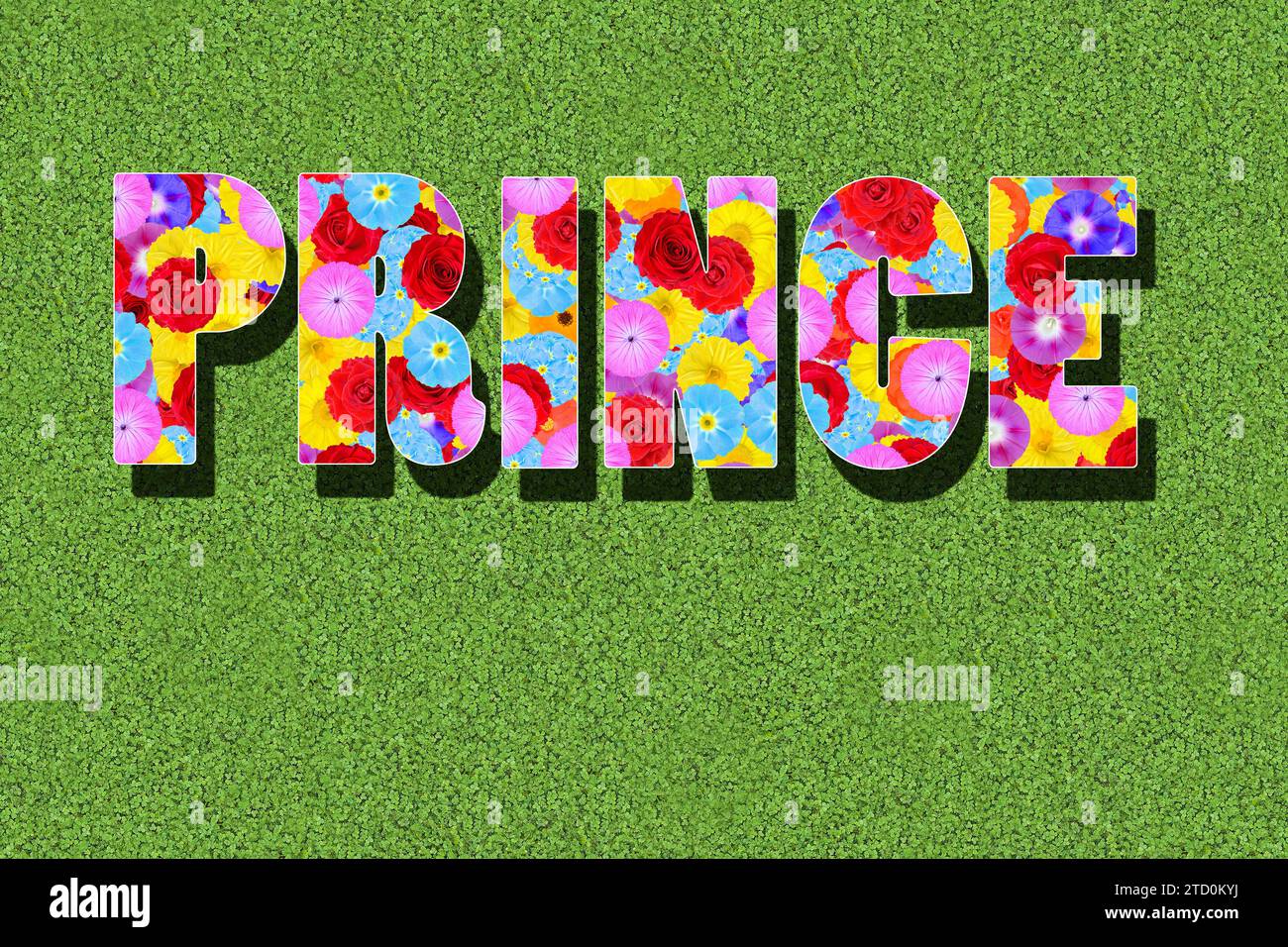 Das englische Wort Prinz, Wort geschrieben mit bunten Blumen auf grünem Hintergrund, Wiese, Grafik, Text Stockfoto