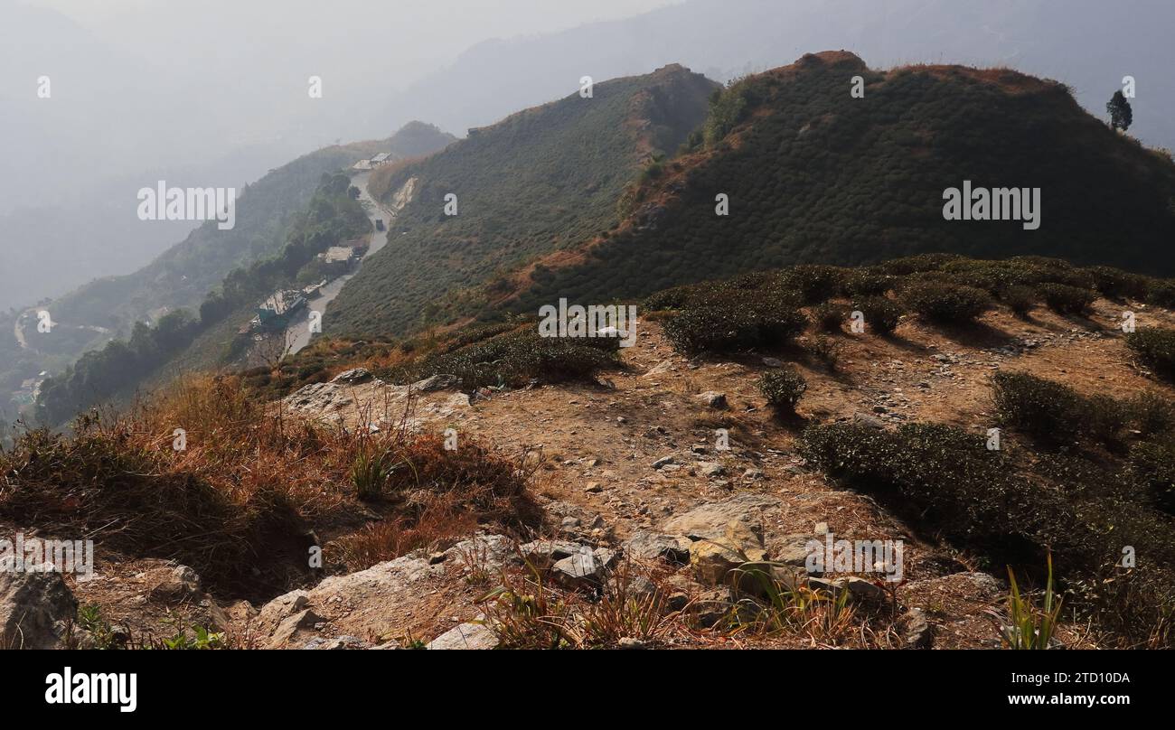Berglandschaft des himalaya-Vorgebirges und Teegarten der kurseong-Bergstation in der Nähe von darjeeling in westbengalen, indien Stockfoto