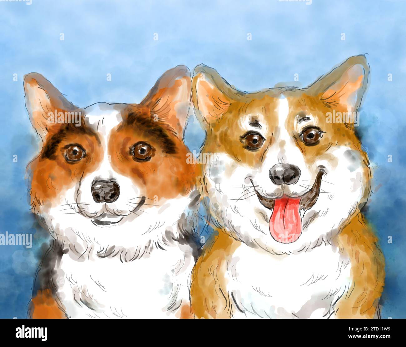 Porträt zweier süßer Waliser-Corgi-Hunde. Künstlerische farbenfrohe Aquarellmalerei auf blauem Hintergrund. Haustiere Tiere Konzept. Stockfoto