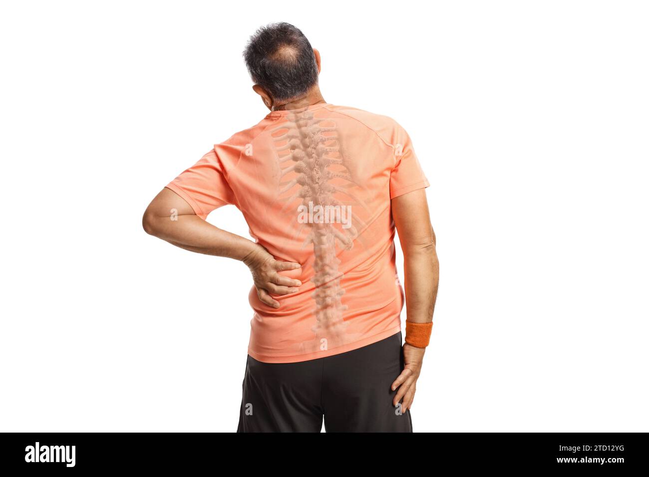 Rückansicht eines Mannes, der seinen schmerzhaften Rücken hält, sichtbare Wirbelsäule isoliert auf weißem Hintergrund Stockfoto
