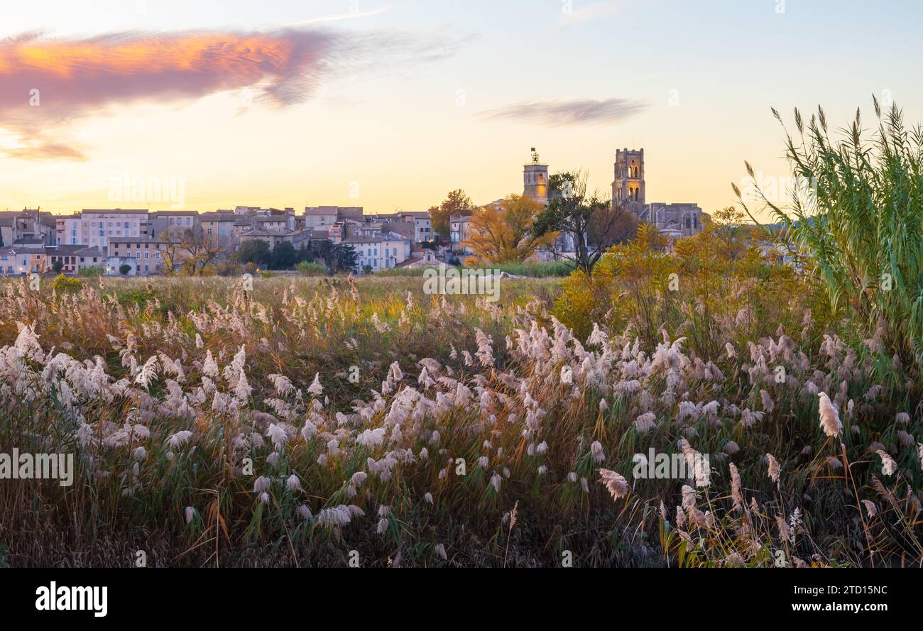 Pont-Saint-Esprit über der Rhone in Occitanie. Fotografie im Herbst in Frankreich Stockfoto