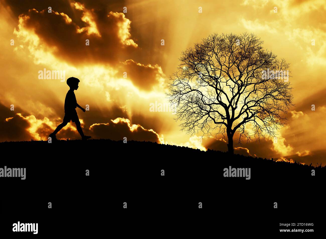 Silhouette eines Jungen, der bei Sonnenuntergang an einem Baum vorbeigeht Stockfoto