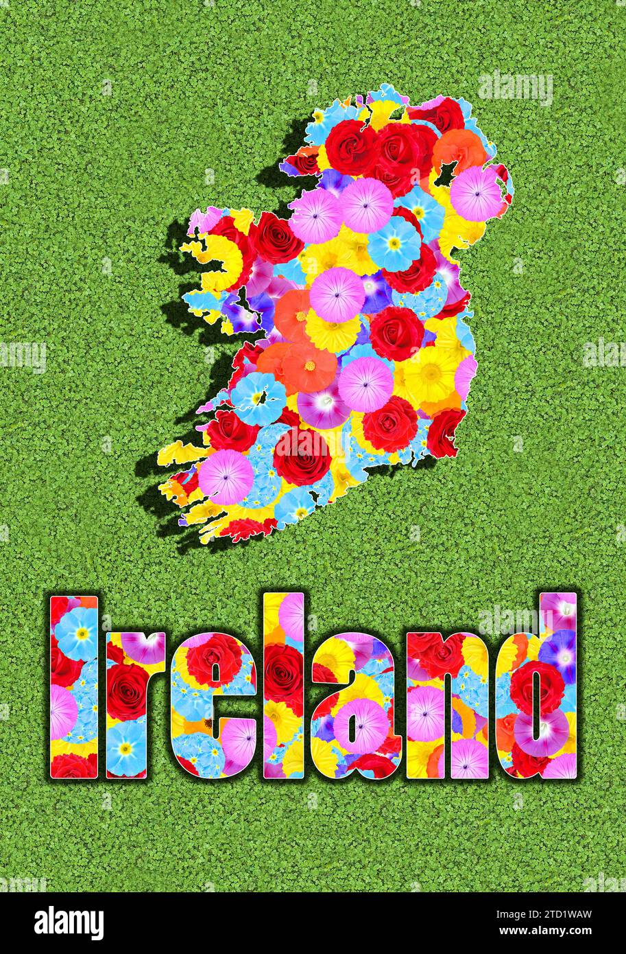 Umriss und geschriebenes Wort von Irland, mit bunten Blumen auf einer grünen Wiese, Grafik, Schrift Stockfoto