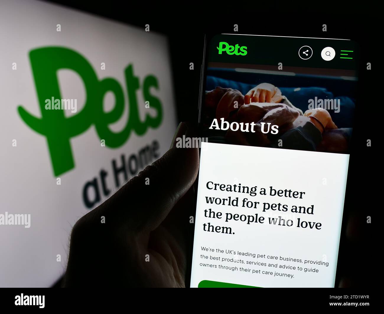Person mit Smartphone und Webseite des britischen Einzelhandelsunternehmens Pets at Home Group vor dem Logo. Konzentrieren Sie sich auf die Mitte des Telefondisplays. Stockfoto