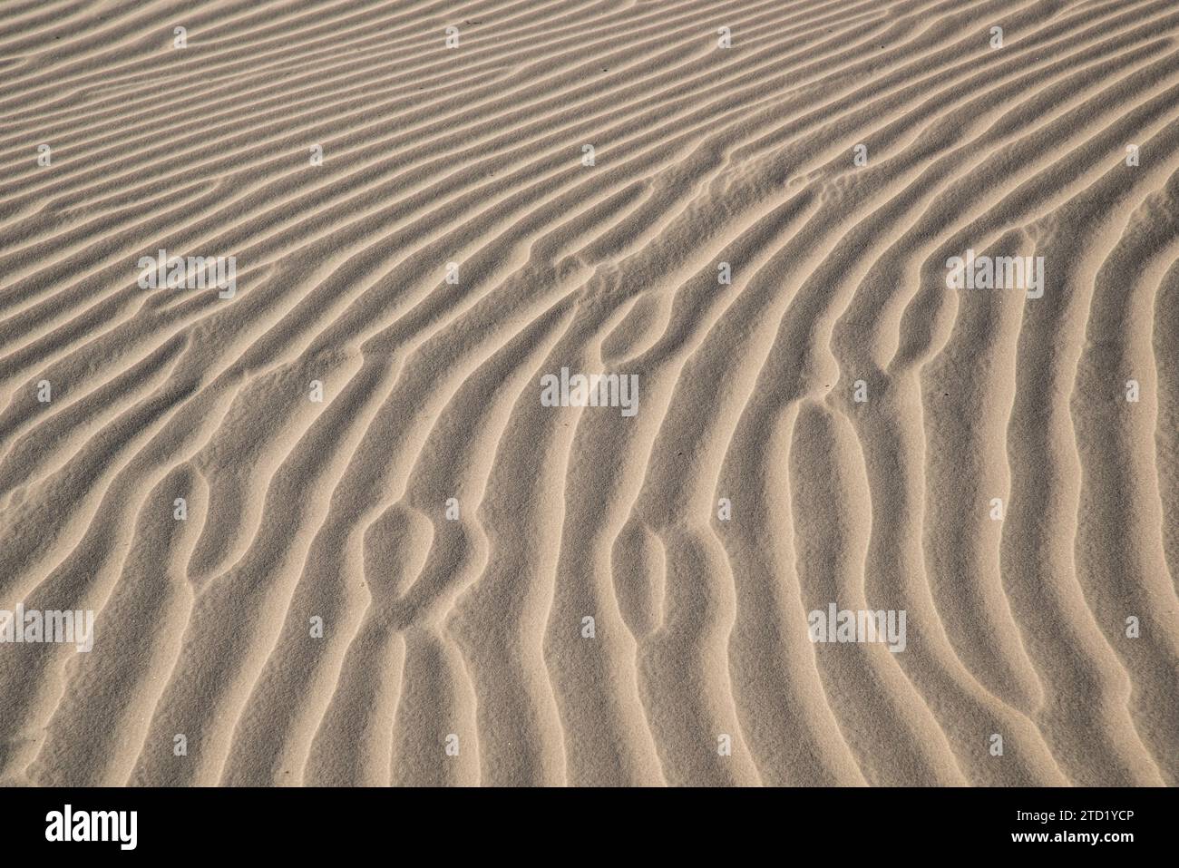 Sand wackelt in den Eureka Dunes im Death Valley National Park, Kalifornien. Stockfoto