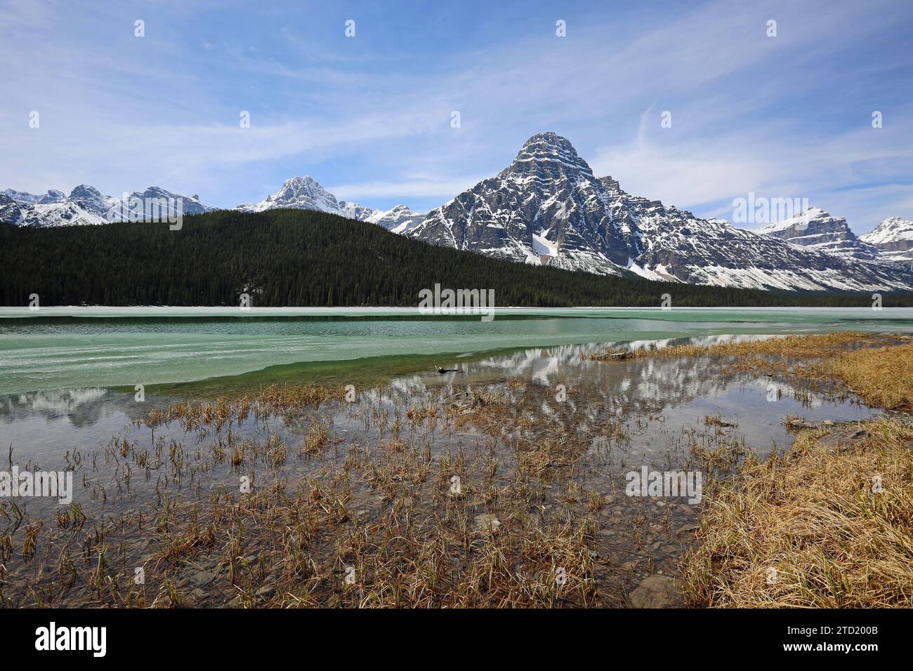 Am Waterfowl Lake, Kanada Stockfoto